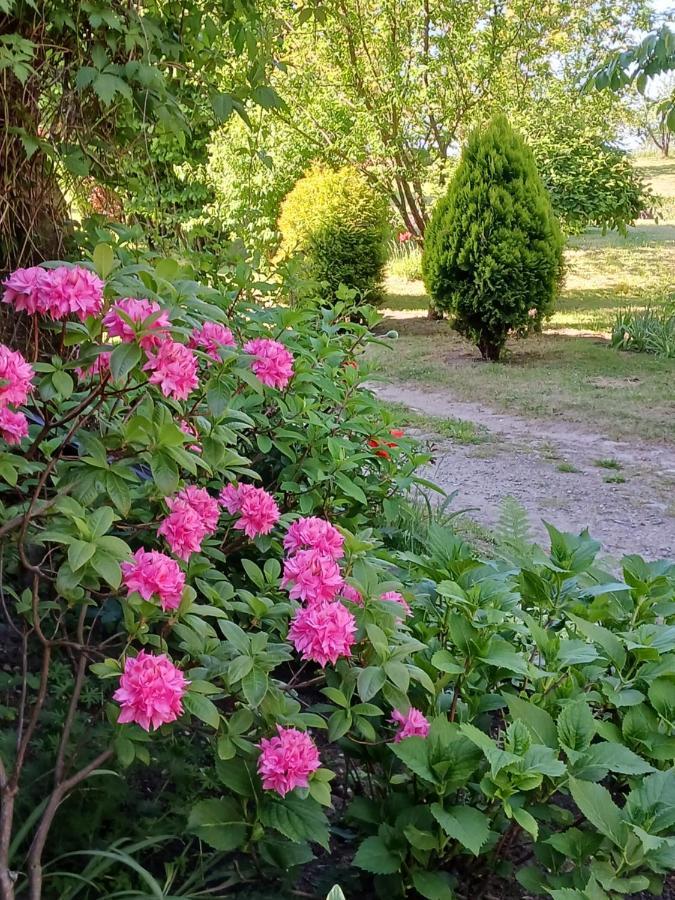 Agroturystyka Pod Debem Jonkowo Exterior photo